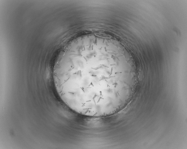 X0000116030132200912041942