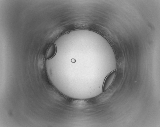 X0000116030133200912041942