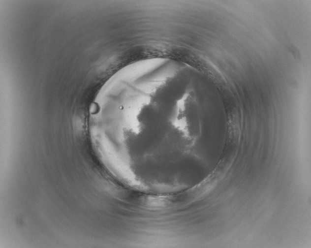 X0000116030134200912041942