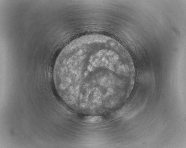 X0000116030135200912041942