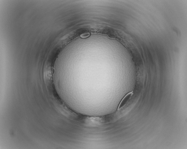 X0000116030137200912041942