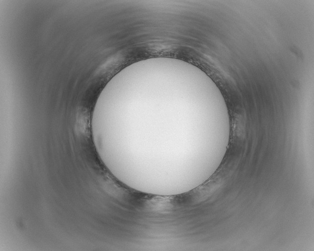 X0000116030138200912041942