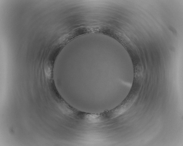 X0000116030139200912041942