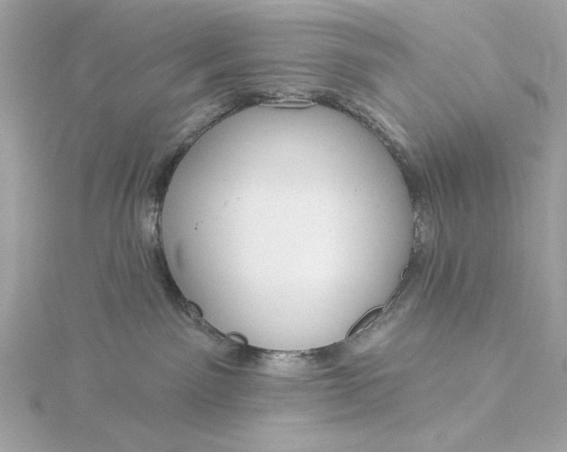 X0000116030141200912041942