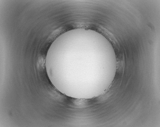 X0000116030142200912041942