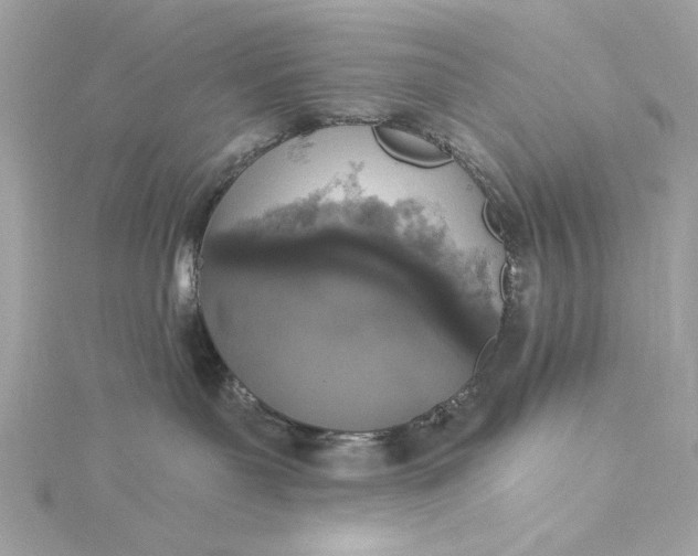 X0000116030143200912041942