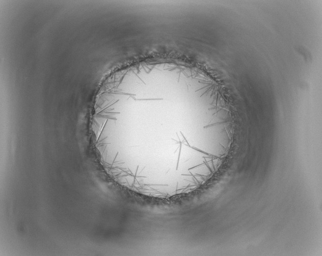 X0000116030144200912041942