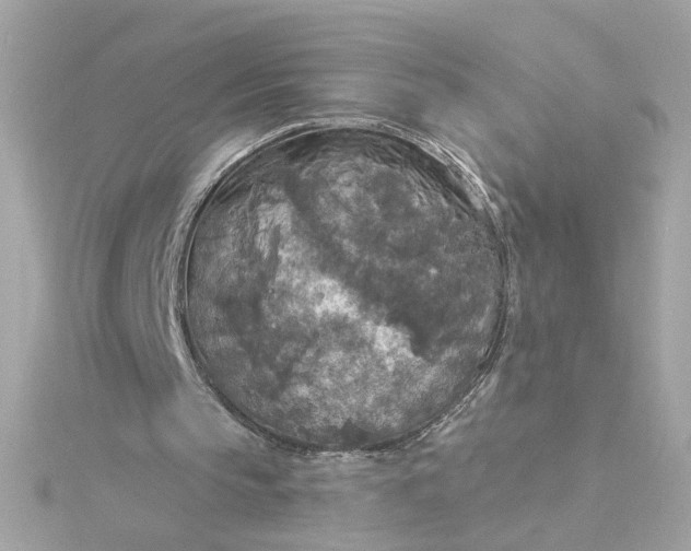 X0000116030145200912041942