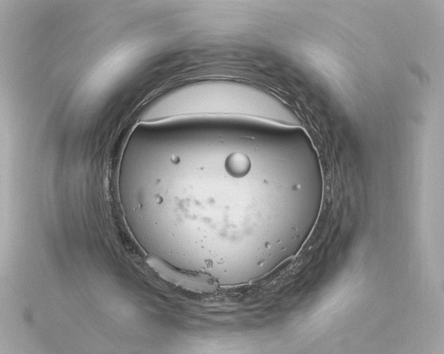 X0000116030146200912041942