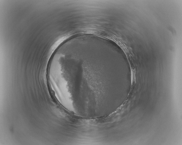 X0000116030147200912041942