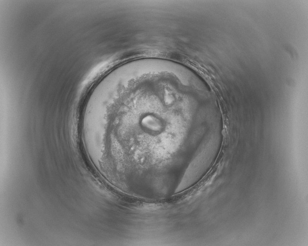 X0000116030149200912041942