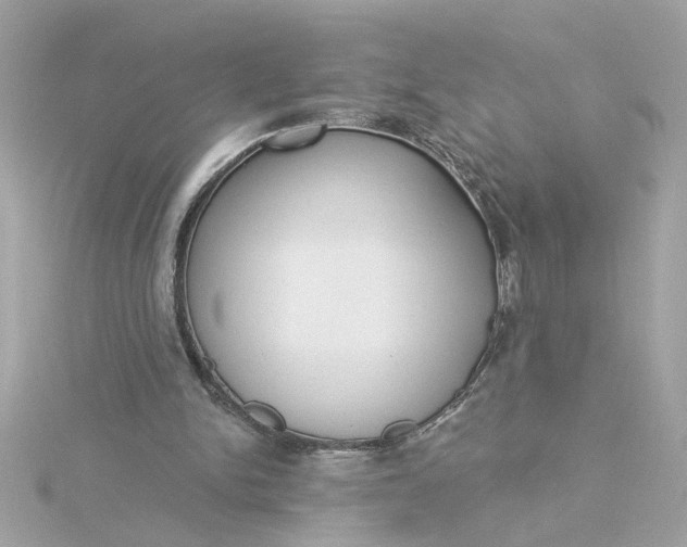 X0000116030150200912041942