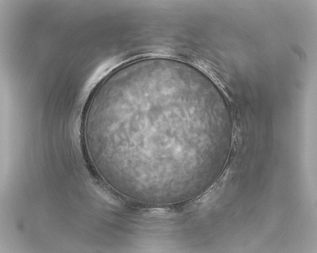 X0000116030151200912041942