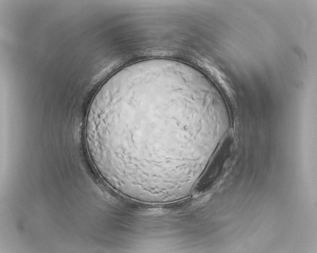 X0000116030153200912041942