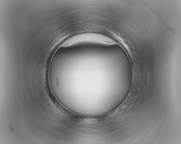 X0000116030154200912041942