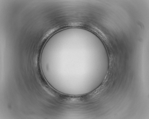 X0000116030155200912041942