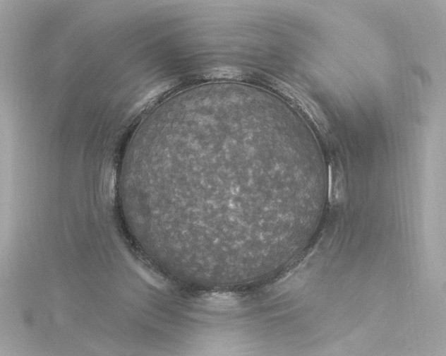 X0000116030157200912041942