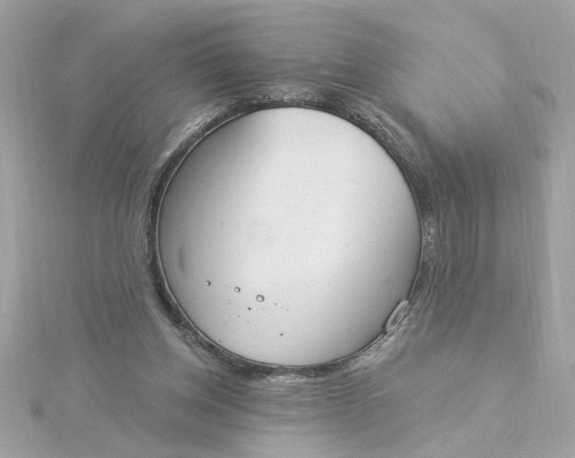 X0000116030158200912041942