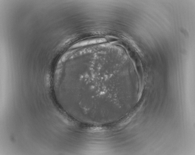 X0000116030161200912041942