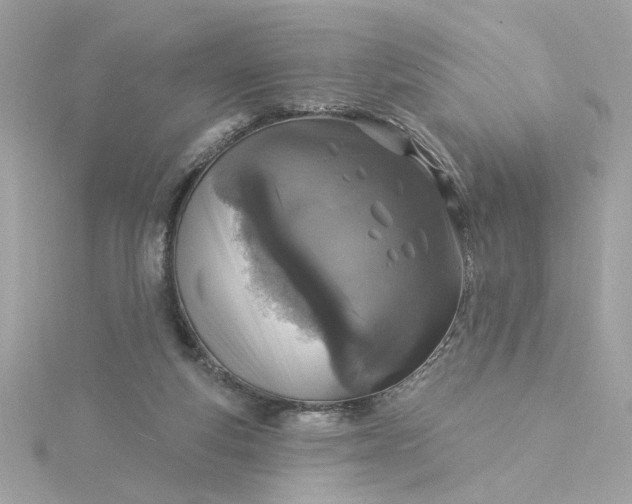 X0000116030163200912041942