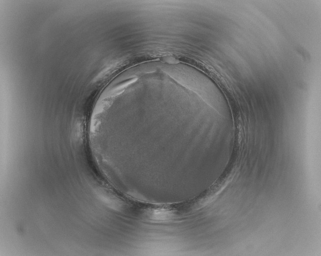 X0000116030165200912041942