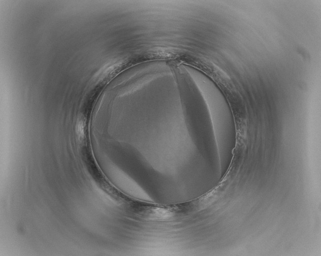 X0000116030166200912041942