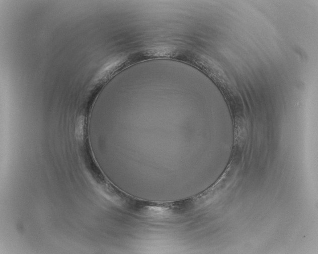 X0000116030167200912041942