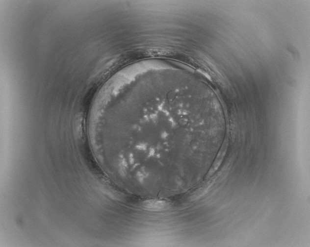 X0000116030169200912041942