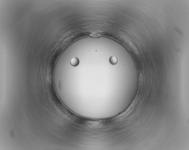 X0000116030170200912041942