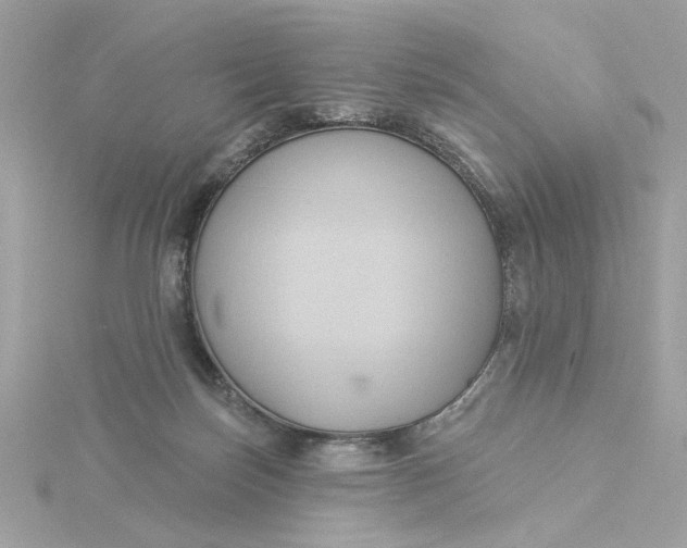 X0000116030171200912041942