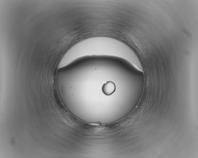 X0000116030173200912041942