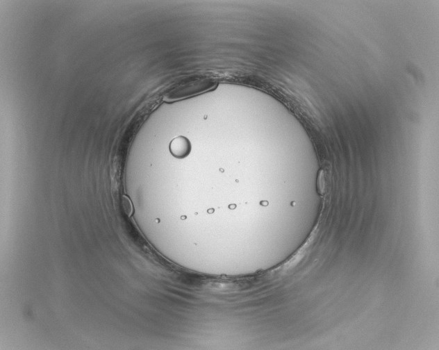 X0000116030174200912041942