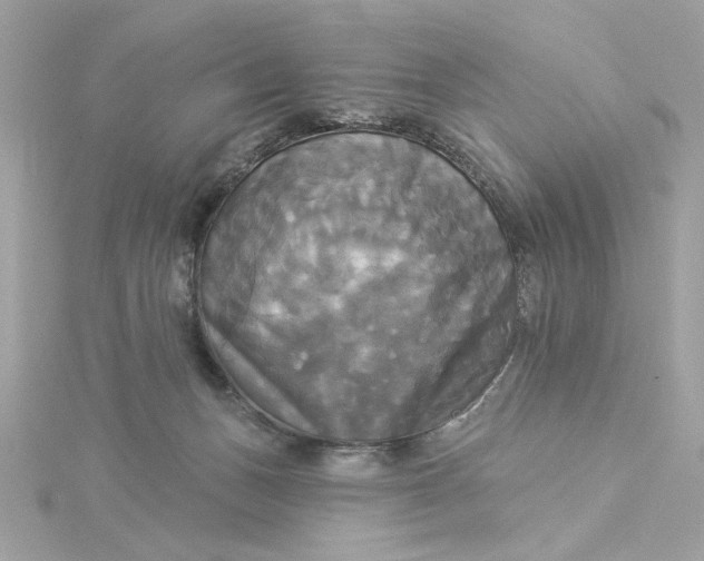 X0000116030175200912041942