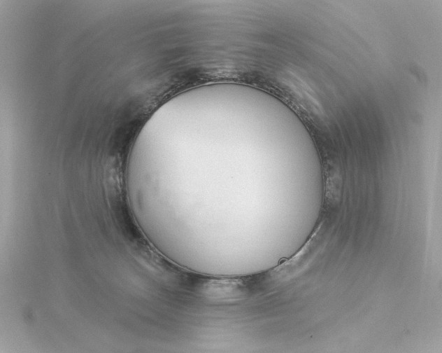 X0000116030179200912041942