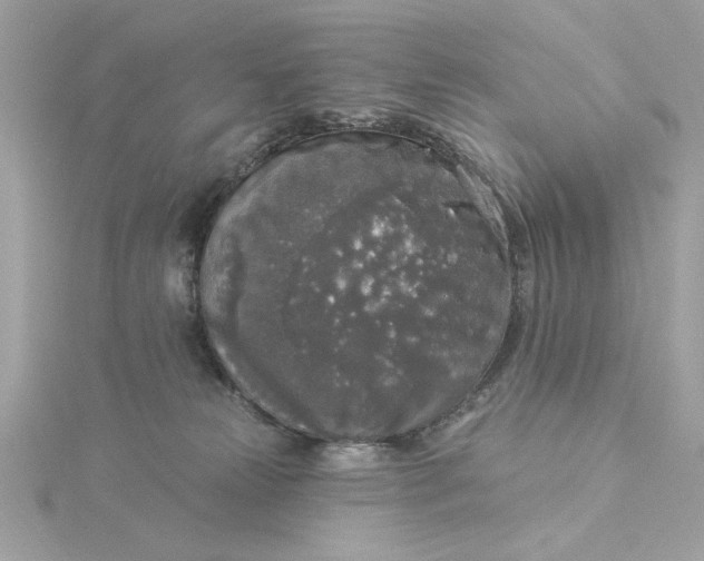 X0000116030181200912041942