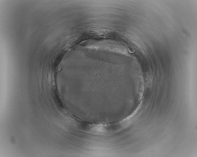 X0000116030182200912041942