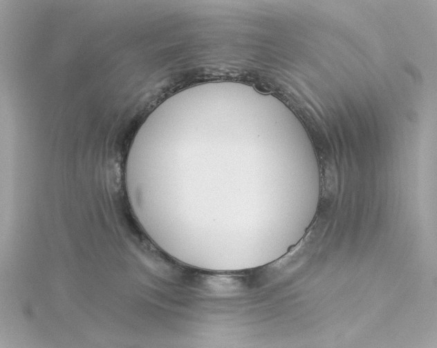 X0000116030183200912041942