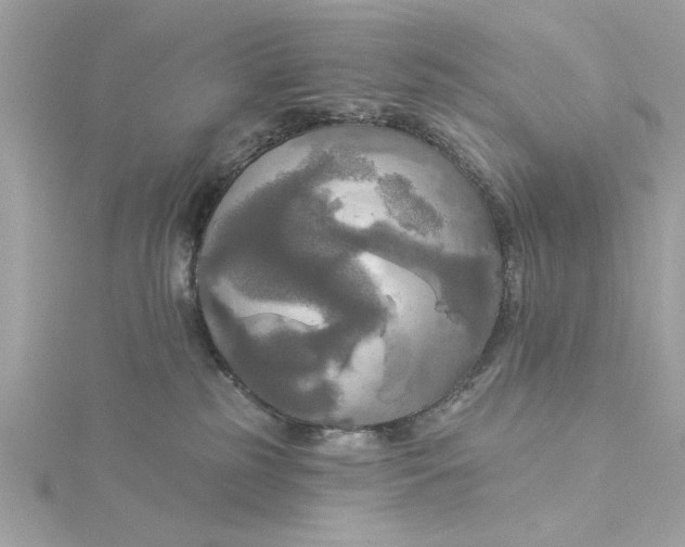 X0000116030185200912041942