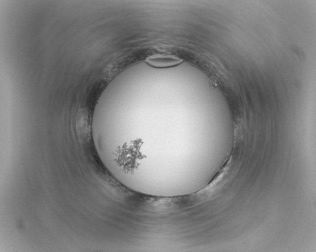 X0000116030186200912041942