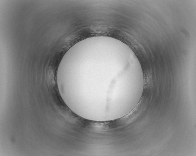 X0000116030187200912041942