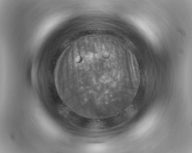 X0000116030189200912041942