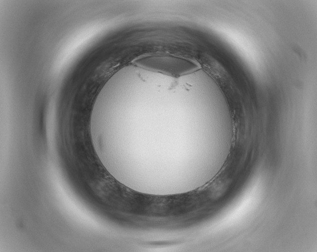 X0000116030191200912041942