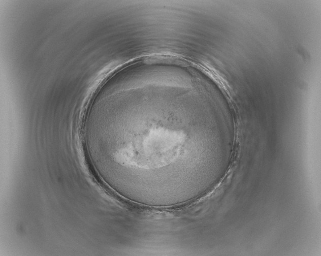 X0000116030193200912041942