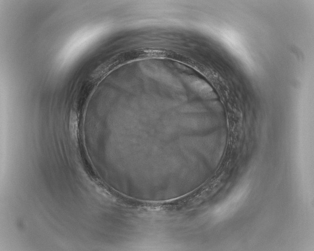 X0000116030194200912041942