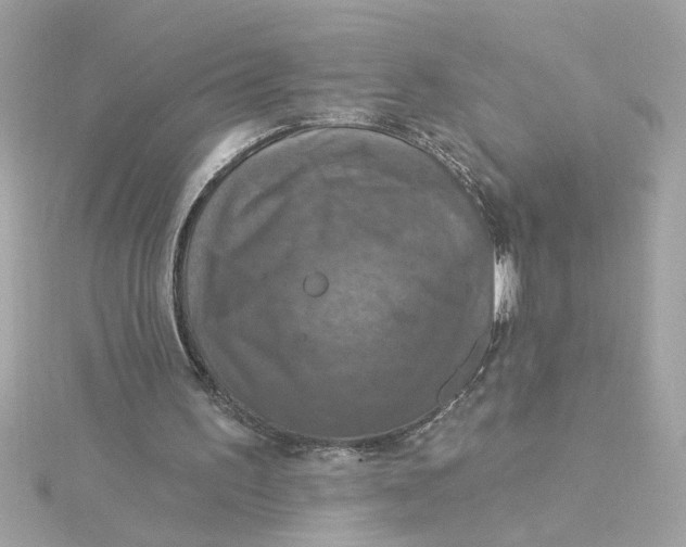 X0000116030195200912041942