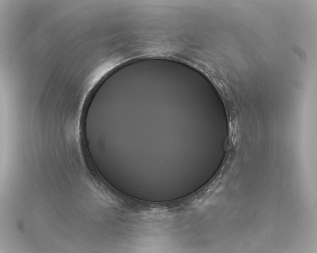 X0000116030196200912041942