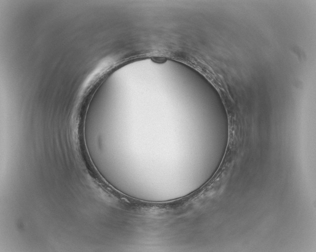 X0000116030197200912041942