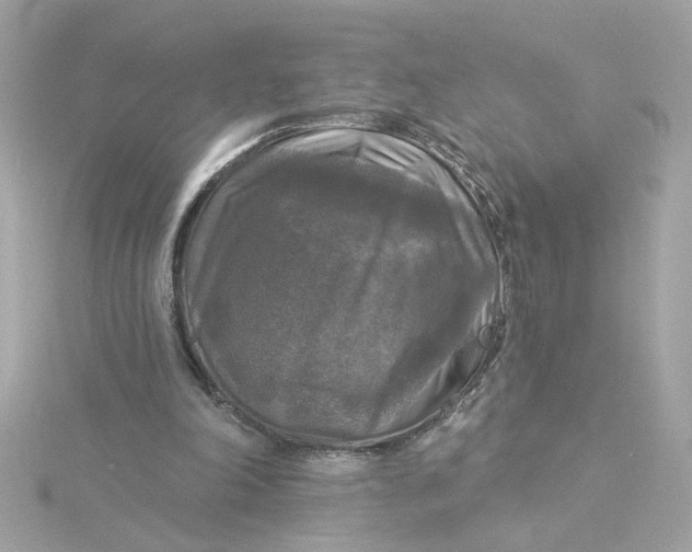 X0000116030198200912041942