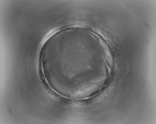 X0000116030199200912041942