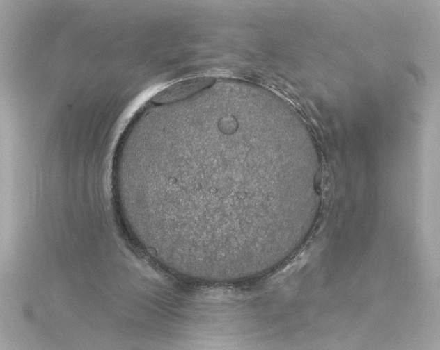 X0000116030200200912041942